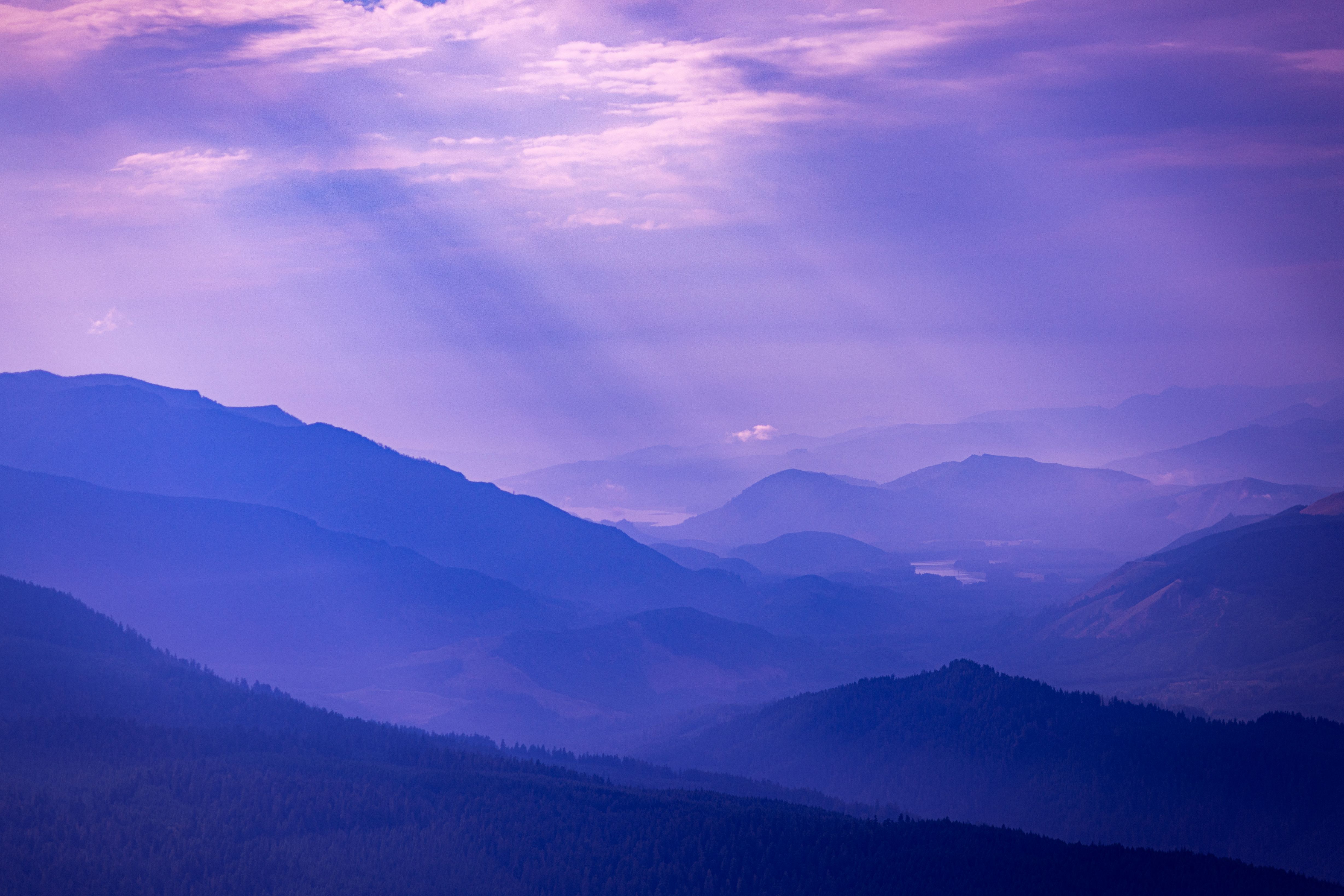 Mt. Burley 
