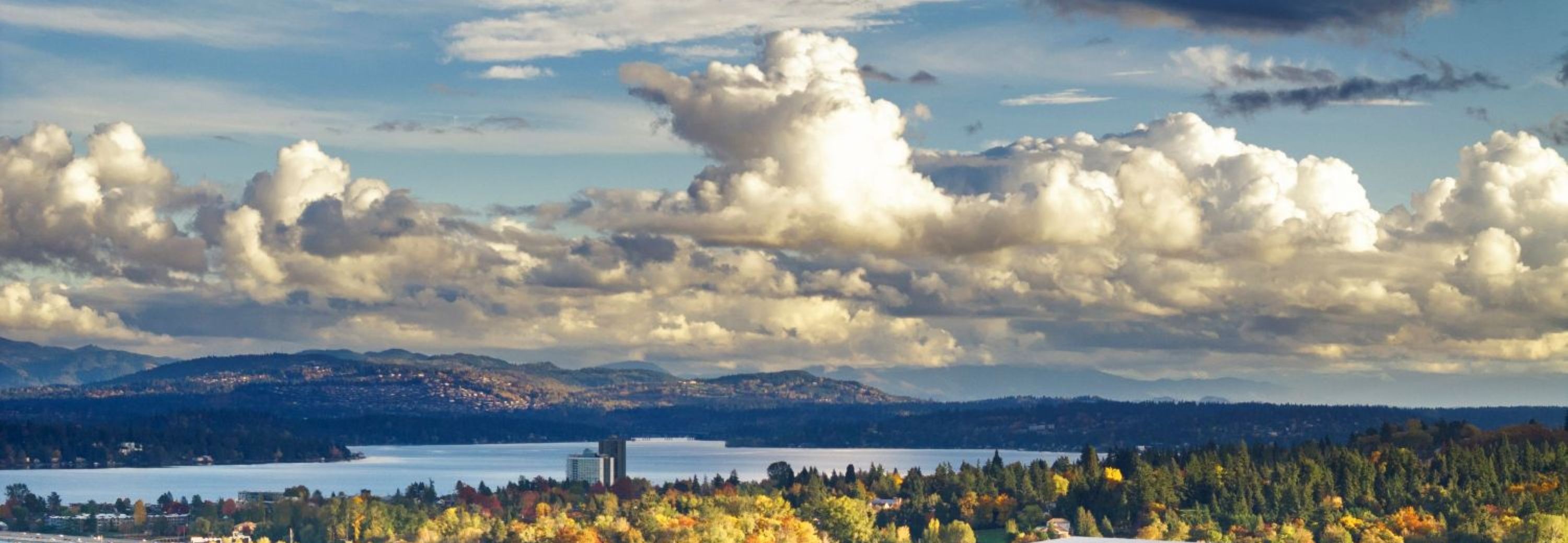 Aerial view of University of Washington Campus