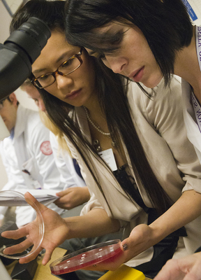 Students looking at sample